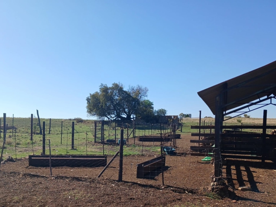 4 Bedroom Property for Sale in Senekal Rural Free State